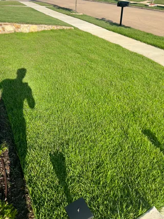 Thick emerald front-yard sod install in a DFW neighborhood