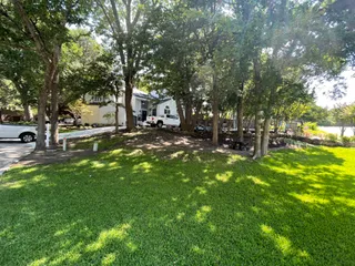 Mature shaded lawn kept healthy under tree cover