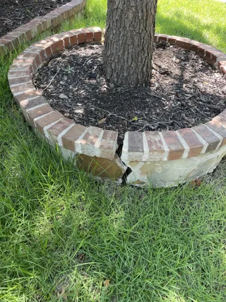 Brick tree ring and stone border repair with surrounding turf