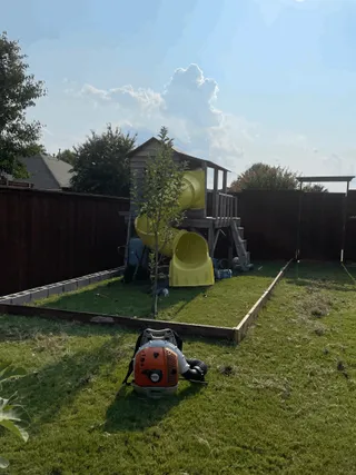 Backyard sod installation in progress with fresh grading and edging