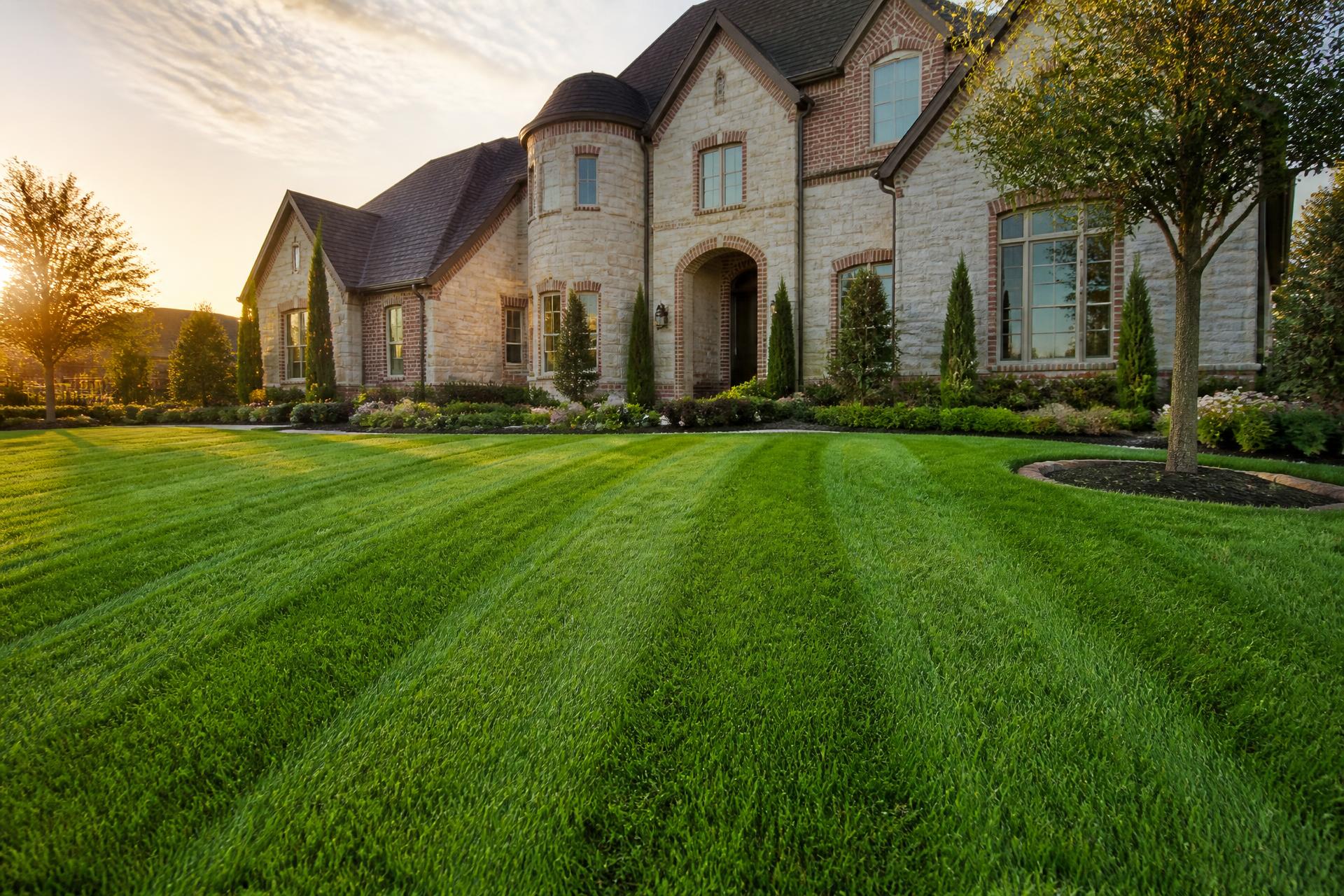 Freshly installed emerald sod lawn in front of a Dallas home at golden hour